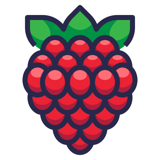 Raspberry Pi