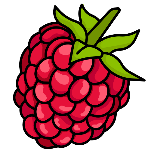 Raspberry Pi Ana Kartlar