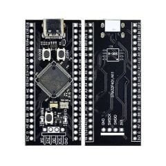STM32F401RCT6 ARM STM32 Geliştirme Kartı Type-C