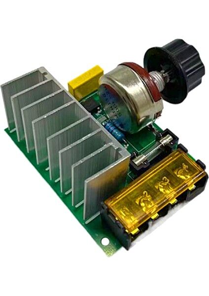 4000W 220V AC Voltaj Regülatörü Dimmer